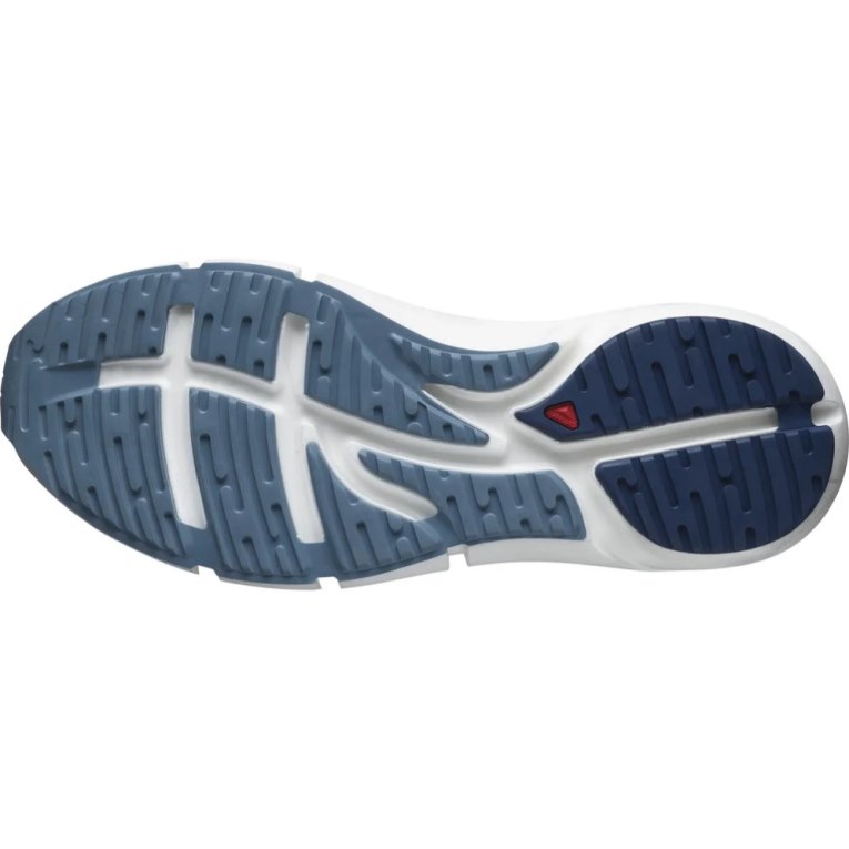 Salomon Predict 2 Men's Running Shoes Blue | CA 30L69